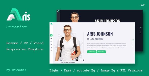 Aries Portfolio theme website design and SEO company